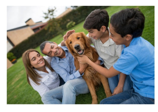 Familia con Perros e hijos