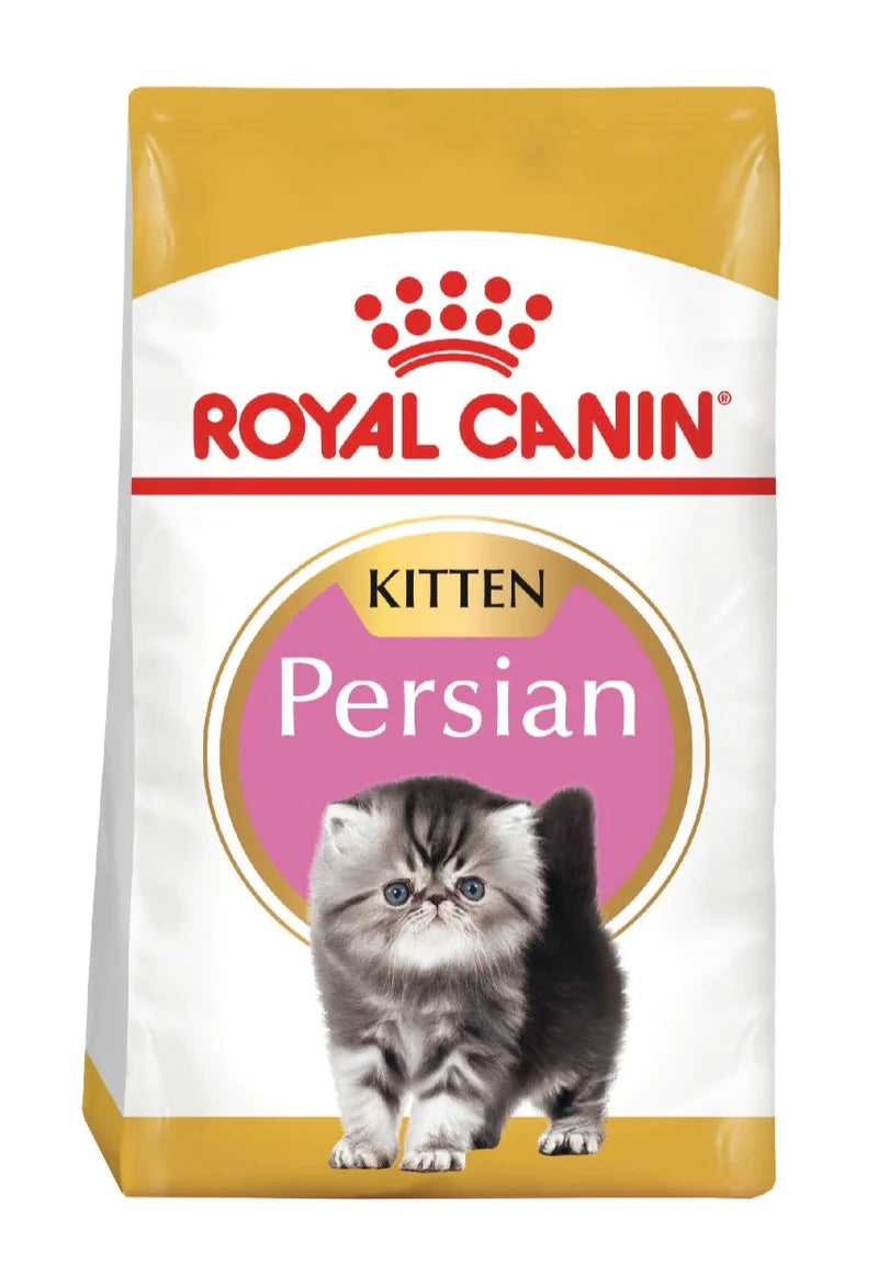 ROYAL FELINE PERSIAN KITTEN