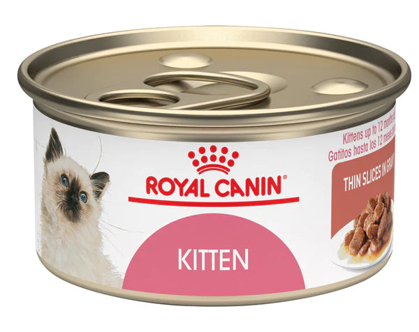 ROYAL FELINE KITTEN LATA X 85 GR