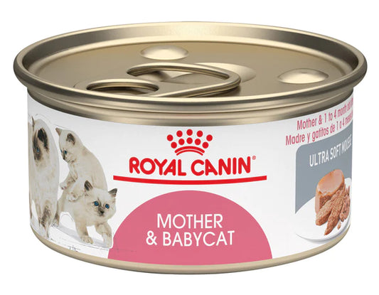 ROYAL FELINE MOTHER & BABY LATA X 145 GR