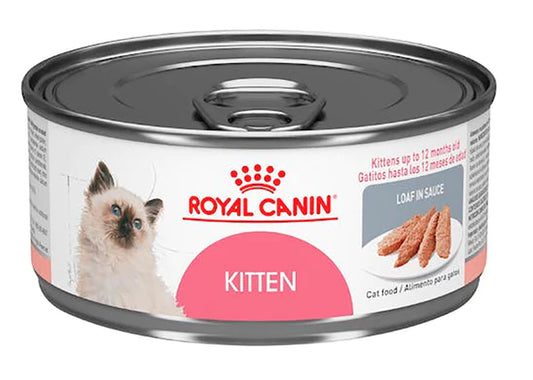 ROYAL FELINE LATA KITTEN LOAF WET 85 GR