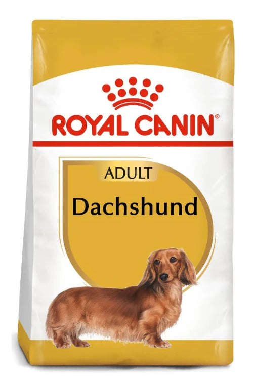 ROYAL CANIN DACHSHUND ADULTO X 1.5 KG