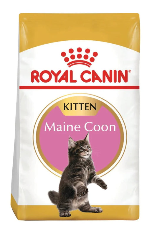 ROYAL CANIN FELINE MAINE COON KITTEN X 4 KG