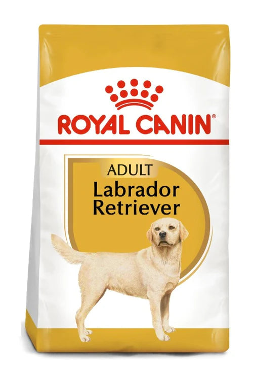 ROYAL CANIN LABRADOR ADULTO 13.6 KG