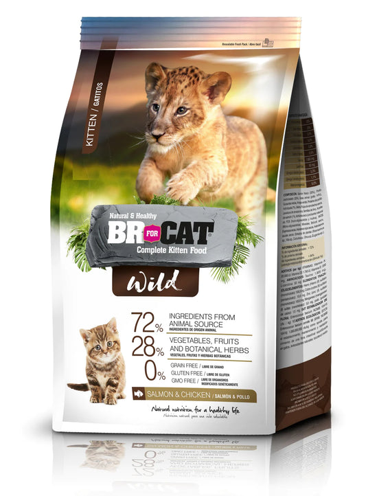 BR FOR CAT WILD KITTEN